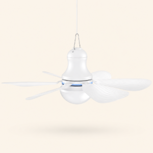 USB Ceiling Fan Light BSJ04-D61U-01 - TUQI Fan